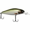 Lucky John Shad X 1 Lucky John Shad X -Karl’s Baits Shop 10 01 lcj 10063g base 1 scaled