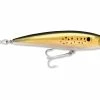 Rapala X-Rap Saltwater -Karl’s Baits Shop 10 01 rpl 10024b 1 1