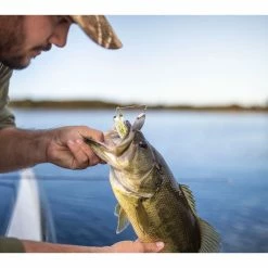 Googan Squad Zinger -Karl’s Baits Shop b35i5290