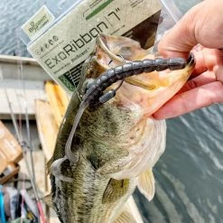 BioSpawn ExoRibbon -Karl’s Baits Shop exoribbon package fish 1