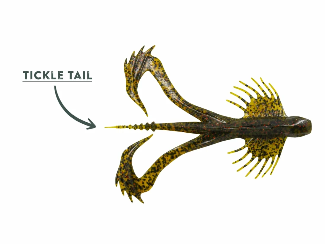 10,000 Fish Zuchi Bug 5 10,000 Fish Zuchi Bug - Image 3