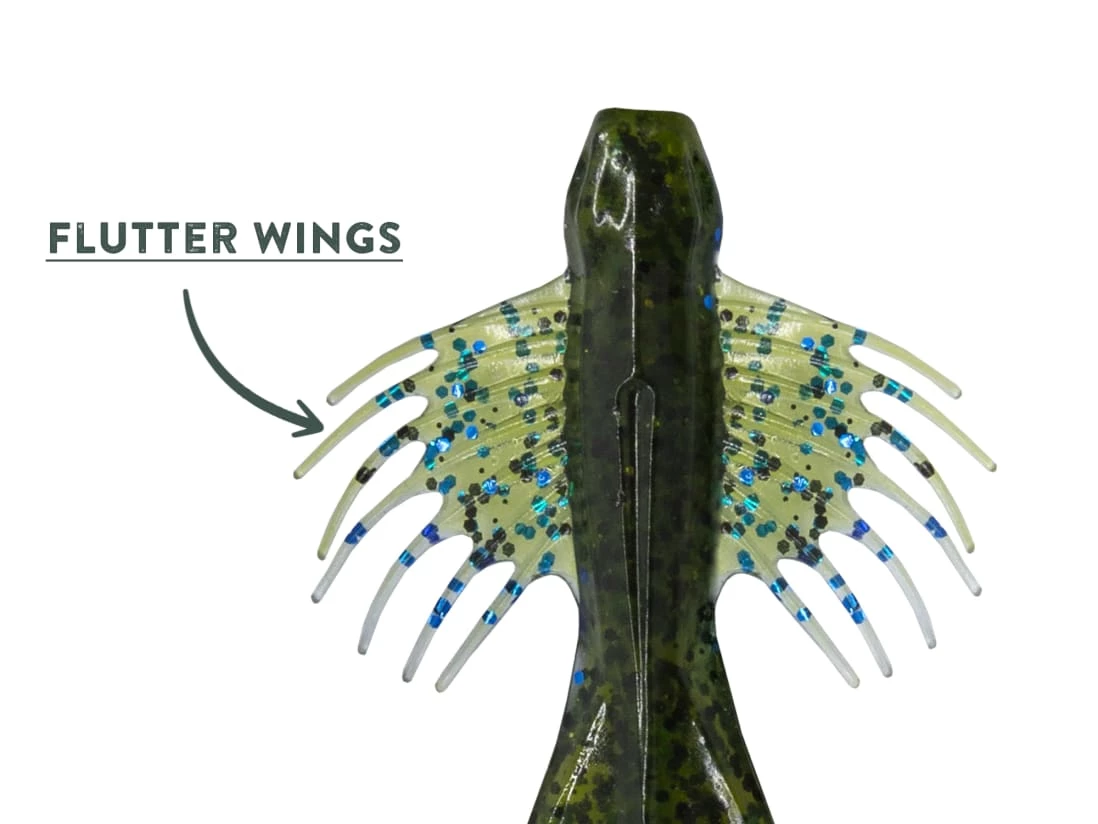 10,000 Fish Zuchi Bug 4 10,000 Fish Zuchi Bug - Image 2