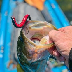 BioSpawn ExoRibbon -Karl’s Baits Shop fullsizerender