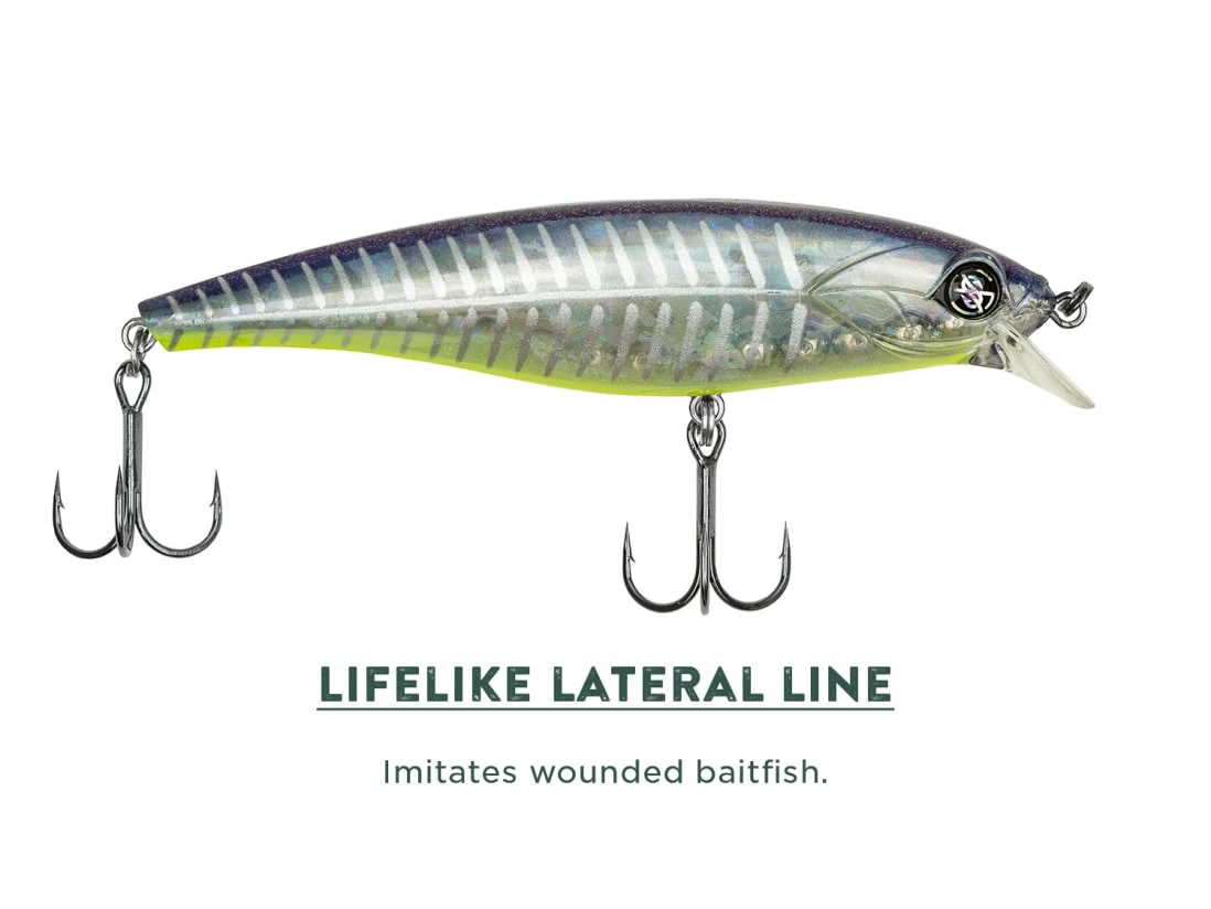 Googan Squad Jr. Scout 9 Googan Squad Jr. Scout - Image 7