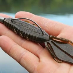 X Zone Lures Pro Series Adrenaline Bug -Karl’s Baits Shop lifestyle adrenaline andrewnordbye 01