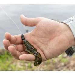 Googan Baits Bandito Bug -Karl’s Baits Shop lifestyle banditobug googansquad evergreen 05202022 1 1200x800 5b2df79