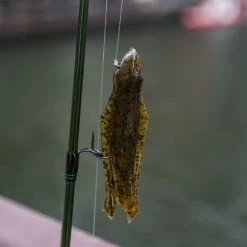 BioSpawn VileTube 15 BioSpawn VileTube -Karl’s Baits Shop lifestyle biospawn viletube 02