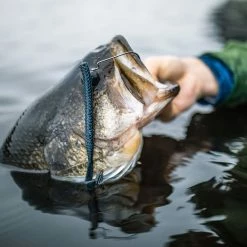 Googan Baits Blazin' Worm -Karl’s Baits Shop lifestyle blazinworm googanbaits bt6a0442