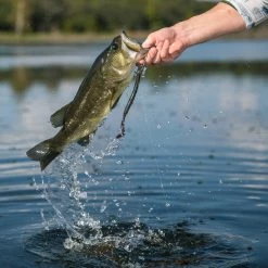 Googan Baits Blazin' Worm -Karl’s Baits Shop lifestyle blazinworm googanbaits bt6a4961