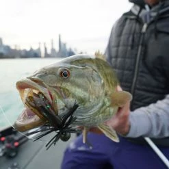 Catch Co. Tight Rope Baby Firework Super Jig -Karl’s Baits Shop lifestyle fish tightropejig 1