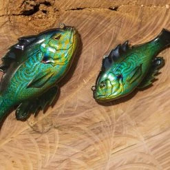 10,000 Fish Head Hunter -Karl’s Baits Shop lifestyle headhunter 2b