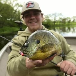 Z-Man Larvaz -Karl’s Baits Shop lifestyle larvaz zman fishingshot 1