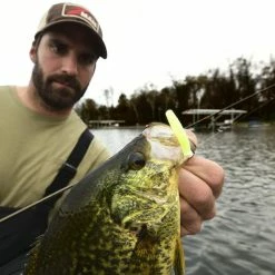 Z-Man Micro TRD -Karl’s Baits Shop lifestyle microtrd zman glowchartreuse 1