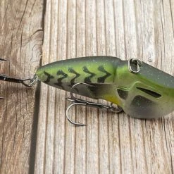 BioSpawn RattleBot -Karl’s Baits Shop lifestyle rattlebot baitfish 7 1
