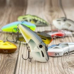 BioSpawn RattleBot -Karl’s Baits Shop lifestyle rattlebot baitfish 8 1