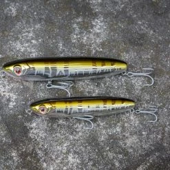 SaltNative Beast Walker -Karl’s Baits Shop lifestyle snl beastwalker scale 6