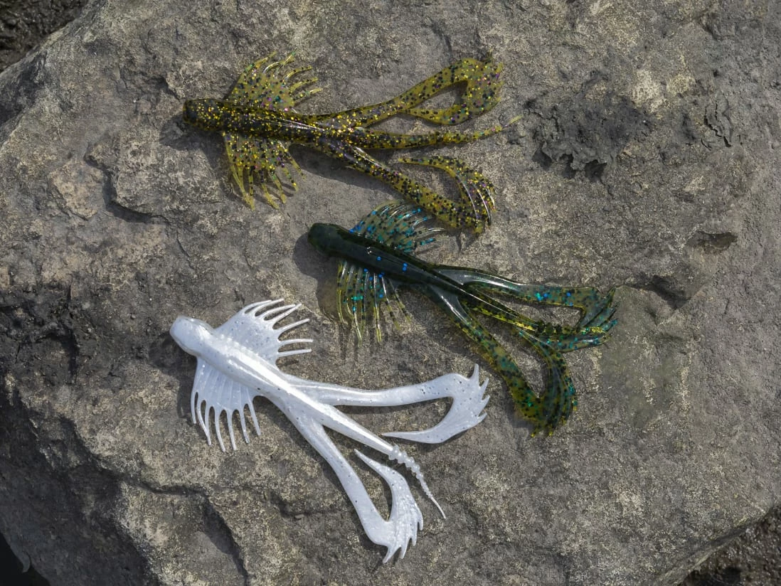 10,000 Fish Zuchi Bug 8 10,000 Fish Zuchi Bug - Image 6