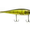 Musky Innovations Swimmin' Dawg -Karl’s Baits Shop muskyinnovations perch swimmindawg 10 35 mky 10000a 1