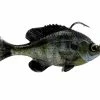 Savage Gear Pulse Tail RTF Bluegill -Karl’s Baits Shop pulsetail rtf bluegill ghostgill 1