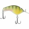Shimano Macbeth Flat -Karl’s Baits Shop shimano bluegill macbethflat 10 01 shm 10001a