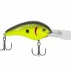 Strike King Pro-Model 5XD -Karl’s Baits Shop strikeking blackbackchartreuse promodel5dx 10 01 stk 10008e 1