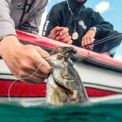 Catch Co. Tight Rope Baby Firework Super Jig -Karl’s Baits Shop tight rope jigs fish crop 3