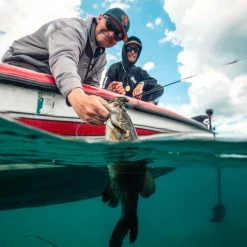 Catch Co. Tight Rope Baby Firework Super Jig -Karl’s Baits Shop tight rope jigs fish full 2