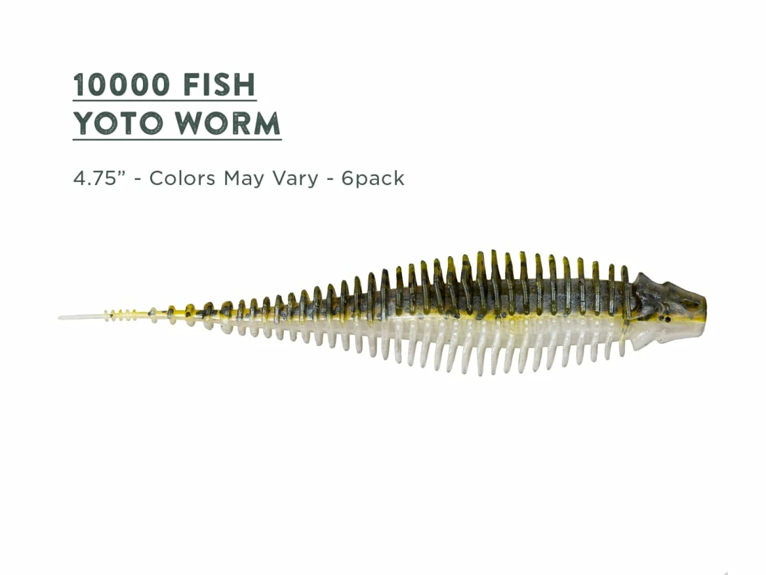 10,000 Fish Essentials Kit 9 10,000 Fish Essentials Kit - Image 8