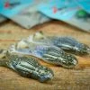 Z-Man Goat ToadZ 2 Z-Man Goat ToadZ -Karl’s Baits Shop zmanlifestyles 1845